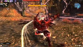 아인라허 칼리두스 노피격 솔플