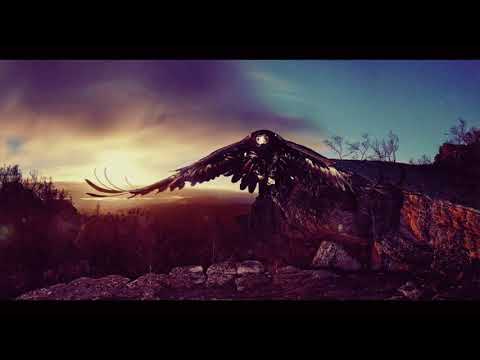 download lagu mp3 mp4 Morrison Kincannon, download lagu Morrison Kincannon gratis, unduh video klip Morrison Kincannon