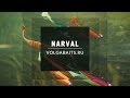 Mix #M02