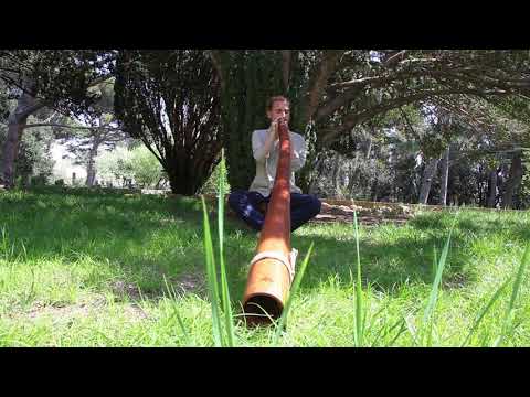 Alexey Mago playing «aircode» on didgeridoo by Ethno-Magic #2