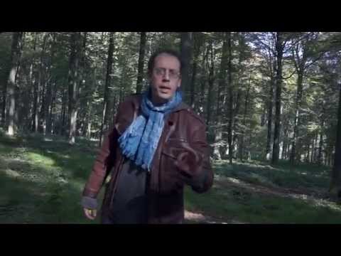 Sur la piste des fées, elfes, lutins et autres esprits de la nature - 5