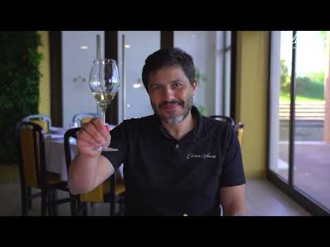 Na Terra do Vinho | Bairrada DOC |  Hélder Cunha Winemaker - Powered by Casca Wines