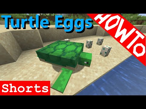Minecraft: How to Breed Turtles and Get Turtle Eggs - Tutorial
