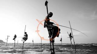 Losless - Synecku (Original Mix)