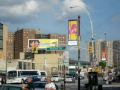 Buses And Hot Dogs In Coney Island