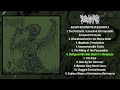 Fulminate Agony Resonates Pleasantly FULL ALBUM 2023 Goregrind