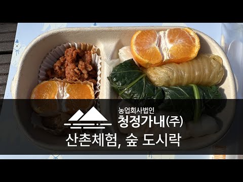 산촌체험, 숲 도시락 보성청정가내마을 박사마을 체험프로그램