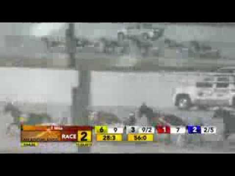 TVG Free For All Trot Final Leg - November 23, 2013 - Wishing Stone