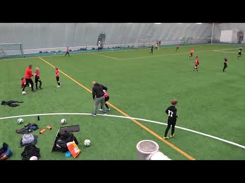 JIPPO P13- JIPPO P12