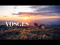 Solo Hiking GR5 Trail In Vosges Mountains France