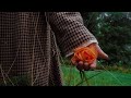 Astrid Swan: In The Woods