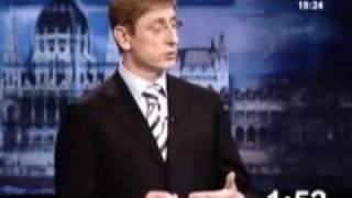 Gyurcsány Ferenc a több-biztosítós modellről, 2006-ban