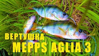 Ловля окуня на блесну летом с берега