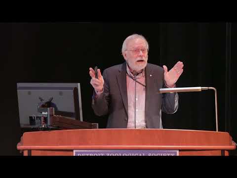 The Human Dimension in Animal Welfare