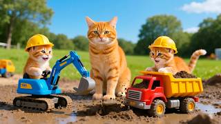 Mama Cat Trims Fur on the Farm and Makes Tiger Hat For Kittens At Home🐾🎩🐯