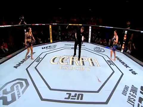 Amanda Nunes & Raquel Pennington Part 3 FULL FIGHT UFC224