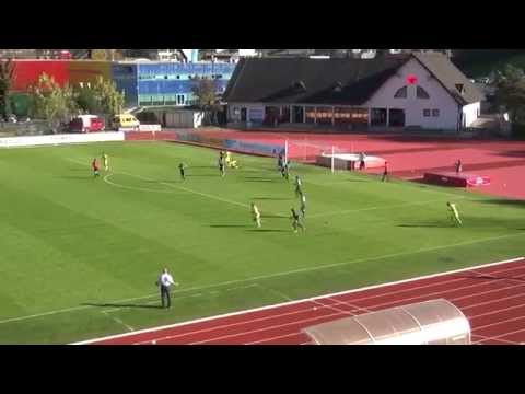 Vrhunci PLTS, 14. kolo: Krka - Domžale 0:1