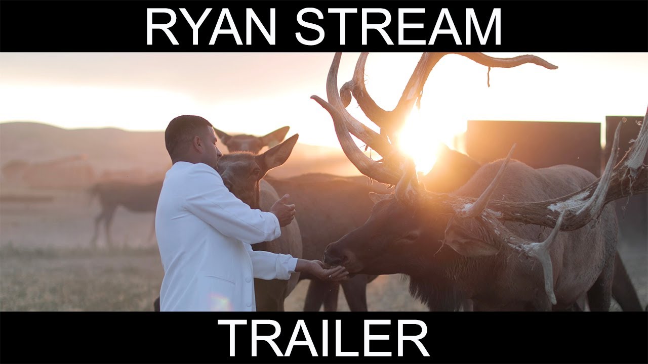 Promotional video thumbnail 1 for Ryan Stream