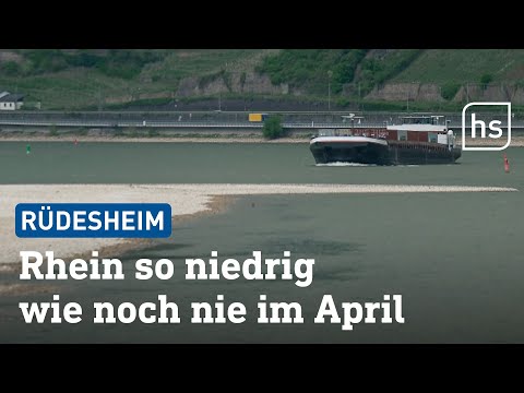 Nur 85 Zentimeter: Sandbänke mitten im Rhein | hessenschau
