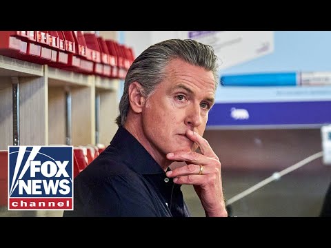 DNC chair MOCKED for claiming party 'won back' young men: 'FANTASY LAND'