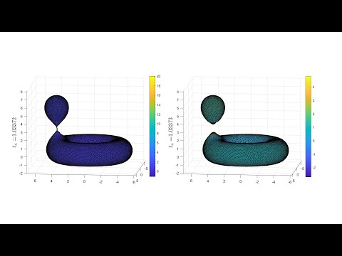 Numerical surgery for mean curvature flow of a torus and a sphere joined by a thin neck