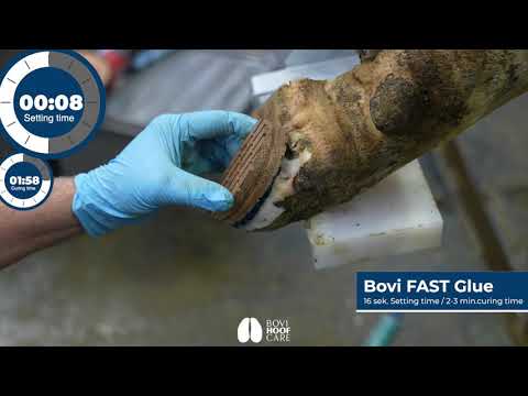 Bovi klovlim Fast Hoof Glue