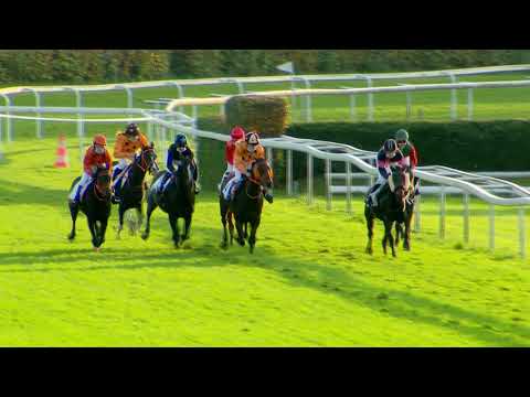 Dielsdorf/25.10.2020/Preis der Firma Intool AG - Poneys D