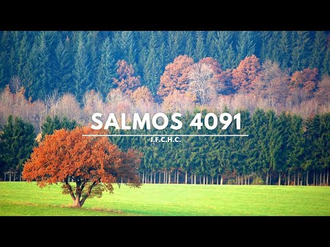 Salmo 4091 - Pista