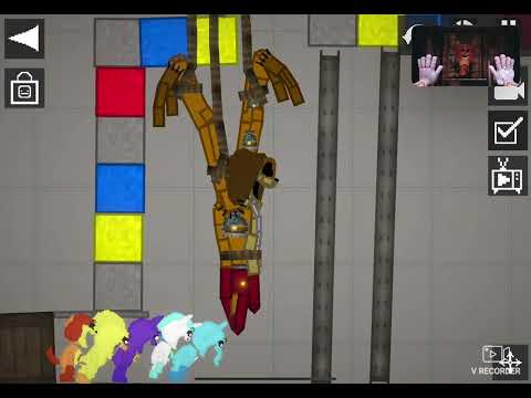 Dog day chase in melon playground