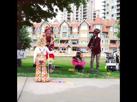 Promotional video thumbnail 5 for Silly of the Valley Productions
