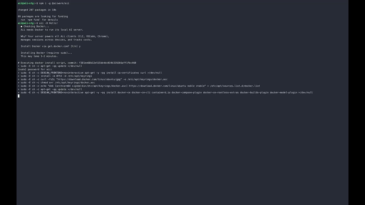Aii CLI npm Install Demo