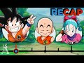 The Complete Dragon Ball Recap