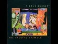 T-Bone Burnett - Image
