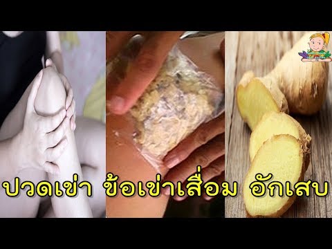 เพิ่มสมาชิกยืน เชื้อโรคม้าที่บ้าน