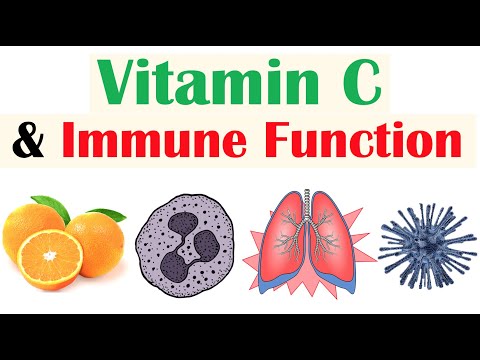 Schistosomiasis Bilharziasis Causes Symptoms and Treatment