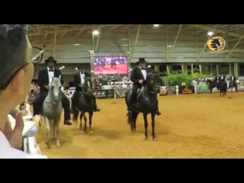 BARBA ROJA, SAMARITANO Y  OCULTO COMPARADOS EN EL SPECTRUM-USA 2016