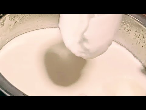Homemade Yoghurt Recipe Using Powdered Milk (Fernleaf) - English