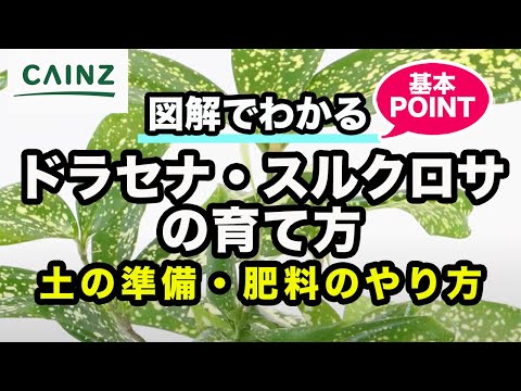 ギプスコアの旗