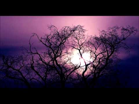 David O'Dowda Machine Lines