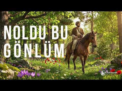 N'oldu Bu Gönlüm - Anatolian Rock Cover | Sufi Sounds