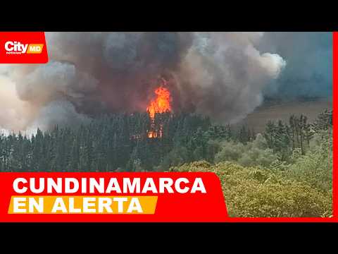 Bojacá bajo alerta por incendio forestal que puso a trabajar a 80 bomberos | CityTv | ArribaBogotá