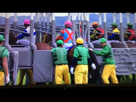 天皇賞春G1 2019年4月28日