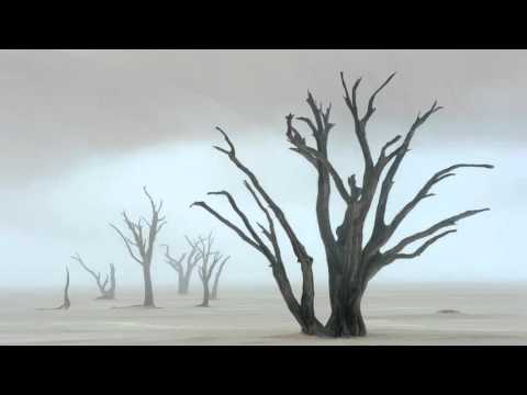 Leonid Kogan - Chausson - Poème, Op 25