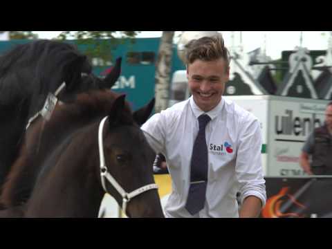 Fokdag Garijp Ta it Bihald Hynstedagen 2019