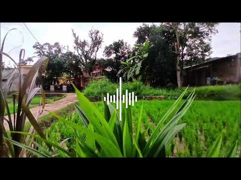 TOR MONITOR KETUA | ORANG BARU LEBE GACOR | ECKO SHOW, JUAN REZA, CHESYLINO (Official Music Video)