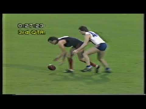 1985 Round 15 Central 10.11 71 d Norwood 9.10 64