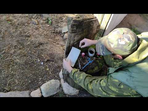 Пчеловодство. Роеловство.Как 100% словить пчёл.приманка для поимки бродячих роёв в ловушку.#Рой