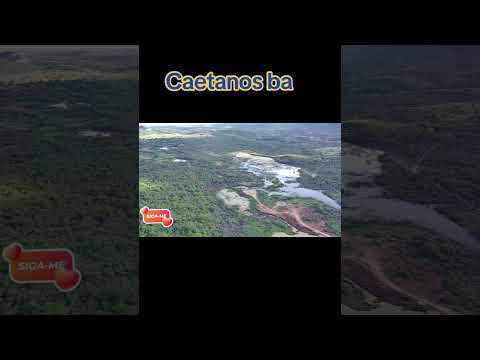 Caetanos ba