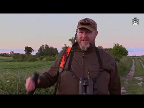 Darz Bór odc - 393 "Gdzie ten myłkus". Roebuck Hunting in Poland.
