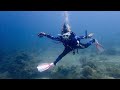 Cynthia Rothrock Night Dive In Aruba
